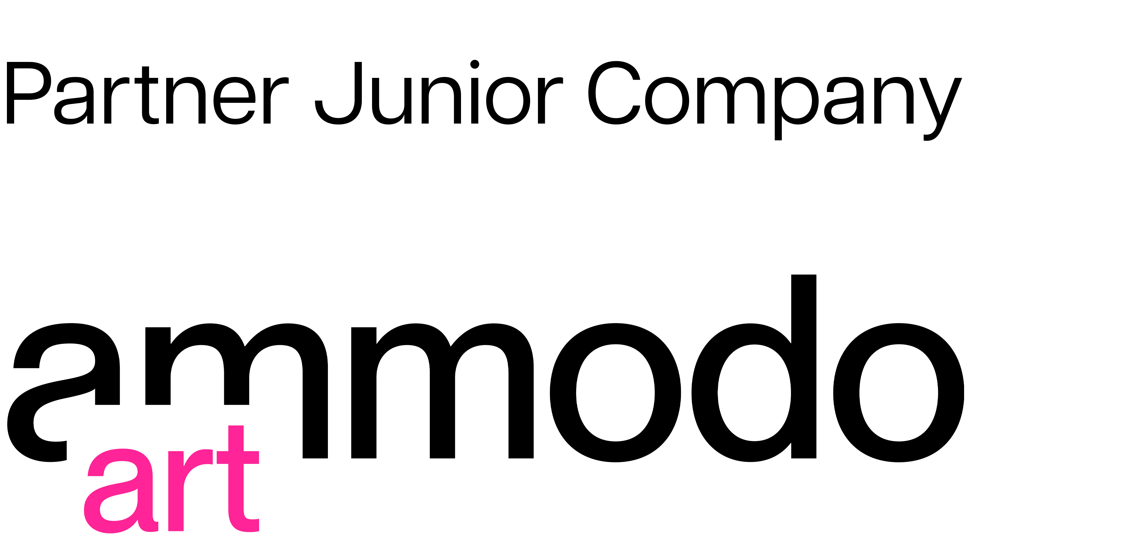 Ammodo Art met boventitel partner Junior Company