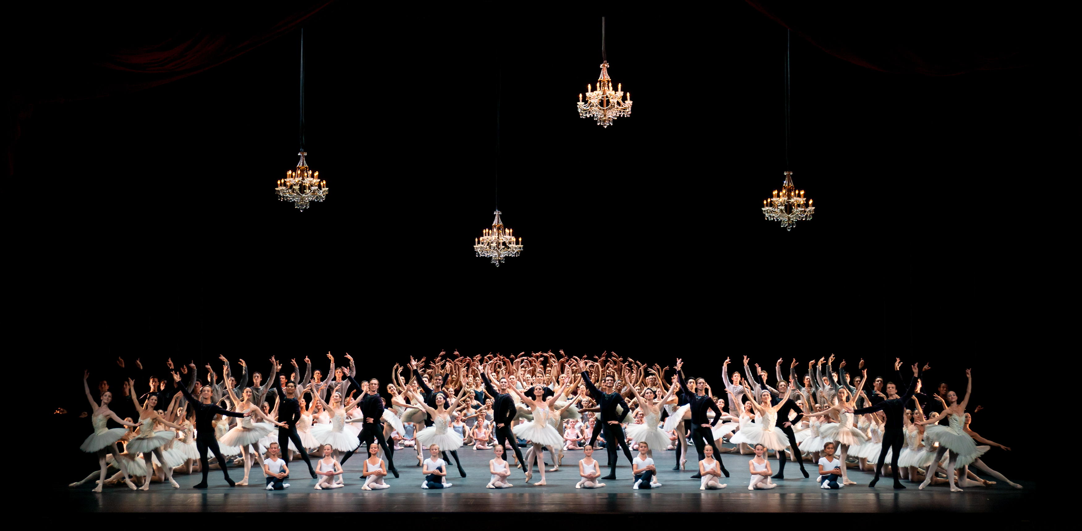 De dansers van Het Nationale Ballet